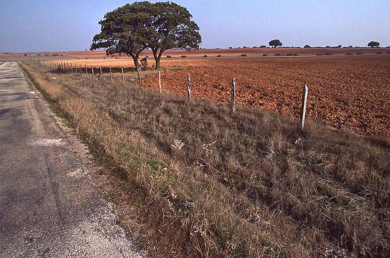 WT 2300 311-26 Spain.jpg